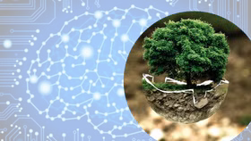 Sự bùng nổ của AI dẫn tới những nguy cơ tiềm ẩn về môi trường