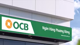 Ngân hàng OCB báo lãi tăng trưởng 19,1% trong năm 2023
