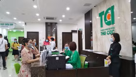 Thu Cúc thắng những gói thầu nào?