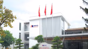 Công ty Cổ phần Đầu tư Hạ tầng giao thông Đèo Cả (mã chứng khoán: HHV)