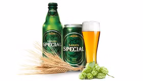 Công ty cổ phần Bia Sài Gòn - Hà Nội (mã chứng khoán: BSH)