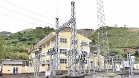 Công ty Cổ phần Đầu tư và Phát triển Điện Tây Bắc (NED)