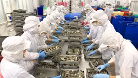 Công ty Cổ phần Thủy Sản Bạc Liêu (mã chứng khoán: BLF)