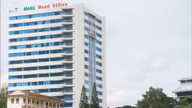 Công ty Cổ phần Hoàng Anh Gia Lai (mã chứng khoán: HAG)