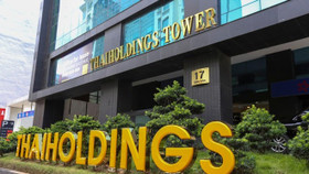 Công ty Cổ phần Thaiholdings (mã chứng khoán: THD)