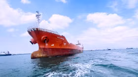 Công ty Cổ phần Vận tải và Tiếp Vận Phương Đông Việt (PVT Logistics)