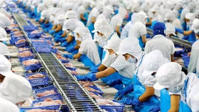 “Ôm” cổ phiếu DXS, thủy sản Vĩnh Hoàn lỗ hơn 27 tỷ đồng