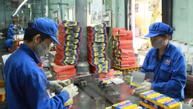 Công ty Cổ phần Pin Hà Nội (mã chứng khoán: PHN)