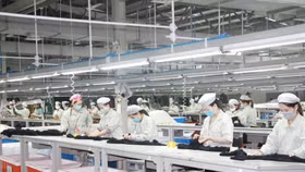 Công ty Cổ phần Tập đoàn MPT (mã chứng khoán: MPT)