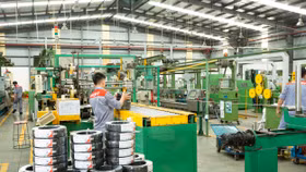 Công ty Cổ phần Điện lực Gelex (GEE)