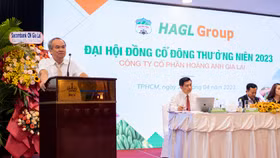 Công ty Cổ phần Hoàng Anh Gia Lai (mã chứng khoán: HAG)
