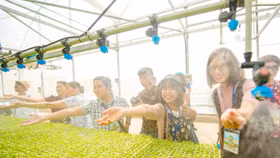 Masan 2023: Huy động thành công 250 triệu USD, được vinh danh tại loạt giải thưởng uy tín