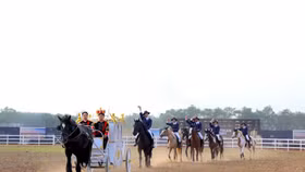 Choáng ngợp với màn ra mắt của Học viện cưỡi ngựa đầu tiên tại Việt Nam trên đảo Vũ Yên