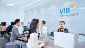 VIB: Lợi nhuận đạt 4.600 tỷ, tín dụng và huy động vốn tăng trưởng 5% trong 6 tháng đầu năm 2024