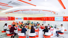 HDBank báo lãi 8.165 tỷ đồng, nợ xấu chỉ 1,59%
