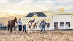 “Đột nhập” Học viện cưỡi ngựa Hoàng Gia đầu tiên và duy nhất tại Việt Nam