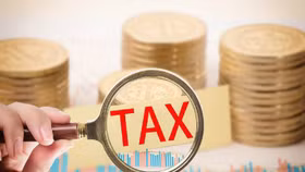 Tính đến 30/10/2023, có 198 doanh nghiệp nợ thuế với tổng số tiền lên đến 8.080 tỷ đồng