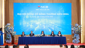 Quyết tăng vốn bằng phát hành cổ phiếu riêng lẻ, Chủ tịch NCB nghĩ gì?