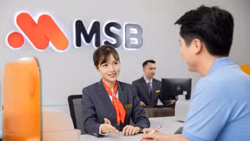 MSB dành 3.000 tỷ đồng tín dụng xanh cho doanh nghiệp