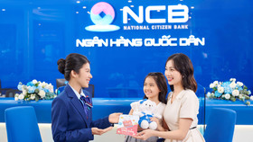 13 nhà đầu tư tham gia đợt chào bán cổ phiếu riêng lẻ của NCB