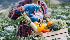 Nông nghiệp Việt Nam tiếp tục toả sáng