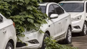 Rắc rối lớn của xe điện: Xe cũ mất giá quá nhanh, hàng triệu chiếc không biết đi đâu về đâu trong năm 2024