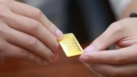Giá vàng giảm sốc 3,3 triệu đồng/lượng