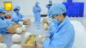 Mỹ mở cửa cho thi trường dừa sọ Việt Nam