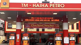Hải Hà Petro vẫn chưa trả nợ quỹ bình ổn xăng dầu