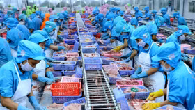 Xuất khẩu thủy sản tháng 1/2024 tăng trưởng tích cực