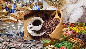 Triển vọng xuất khẩu nông sản Việt Nam: Nắng đẹp nhưng còn mây mù