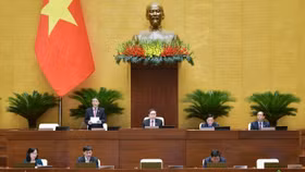 Phiên thảo luận Quốc hội ngày 29/5