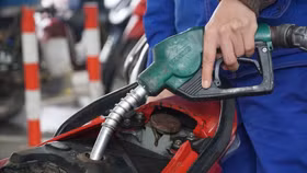 Các doanh nghiệp xăng dầu sẽ phải báo cáo hiện trạng, việc duy trì và đáp ứng điều kiện về giấy phép kinh doanh