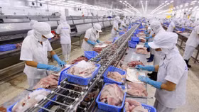 5 doanh nghiệp xuất khẩu cá tra Việt Nam bị áp mức thuế chống bán phá giá mới