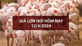 Miền Nam tiếp tục giảm giá