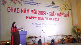 Bà Pauline Tamesis, điều phối viên thường trú Liên Hợp Quốc tại Việt Nam phát biểu tại chương trình