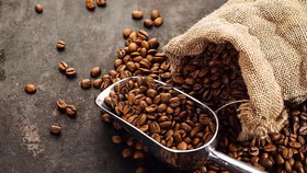 Năm 2023, kim ngạch xuất khẩu cà phê của Việt Nam đạt kỷ lục hơn 4,24 tỷ USD