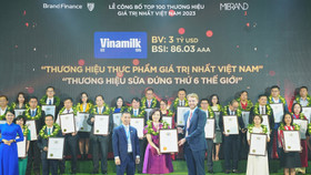 Bà Bùi Thị Hương, Giám đốc Điều hành, đại diện Vinamilk đón nhận các chứng nhận từ Brand Finance 