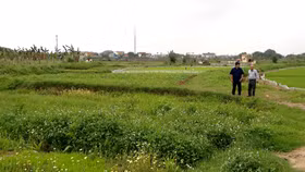 Chính phủ ban hành Nghị định số 102/2024/NĐ-CP quy định chi tiết thi hành một số điều của Luật Đất đai