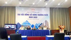 Hoạt động đầu tư tài chính của Tập đoàn Hà Đô mang tính nội bộ, cần nghiên cứu tập trung vào hoạt động M&A