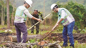 Chuyện 'con gà quả trứng' với doanh nghiệp niêm yết