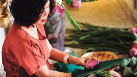 Chuyện nữ nhà báo mê sen Tây Hồ