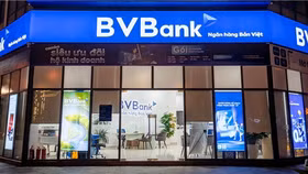 Lộ diện loạt đại gia sở hữu hơn 1% vốn BVBank