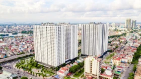 Chỉ định thầu rút gọn: "Liều thuốc” tăng tốc cho nhà ở xã hội