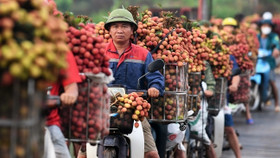 Khó tiếp cận ngân sách hỗ trợ đăng ký bảo hộ nhãn hiệu ở nước ngoài