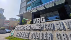 Khu công nghiệp Nam Tân Uyên 3 của Cao su Việt Nam có thể cho thuê vào cuối năm 2024