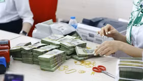 Lãi suất huy động kỳ hạn 12 tháng ngân hàng nào cao nhất tháng 3/2024?