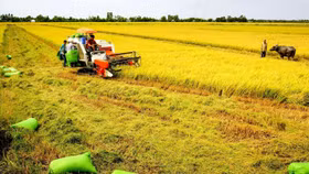 Bộ Tài chính đề xuất 2 giải pháp quy định về thời hạn miễn thuế sử dụng đất nông nghiệp