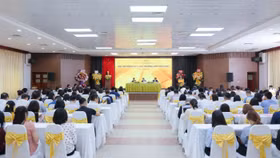 Thaiholdings đặt mục tiêu lợi nhuận 125 tỷ đồng, không chia cổ tức năm 2023 để sẵn sàng nguồn lực cho giai đoạn mới