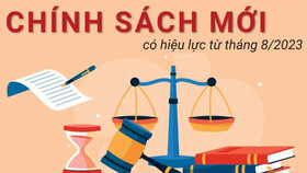 Chính sách mới 